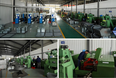 Shaanxi Flourish Industrial Co., Ltd. 제조업체의 생산 라인