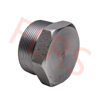 주문 MNPT BSPT 재료는 육각형 헤드 플러그 A182 F316 ASME B16.11에 실을 뀄습니다 online manufacture