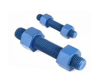 주문 PTFE SS 304 316 두 배 끝 놀이쇠, 견과를 가진 가득 차있는 실 장식 못 놀이쇠 online manufacture