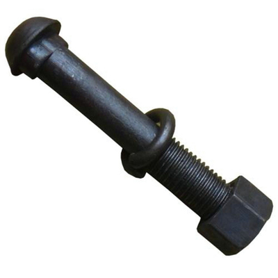 라운드 해드 철도 피시 볼트 DIN 5903 - 1/ 타원 목 트랙볼트 ASME B18.10